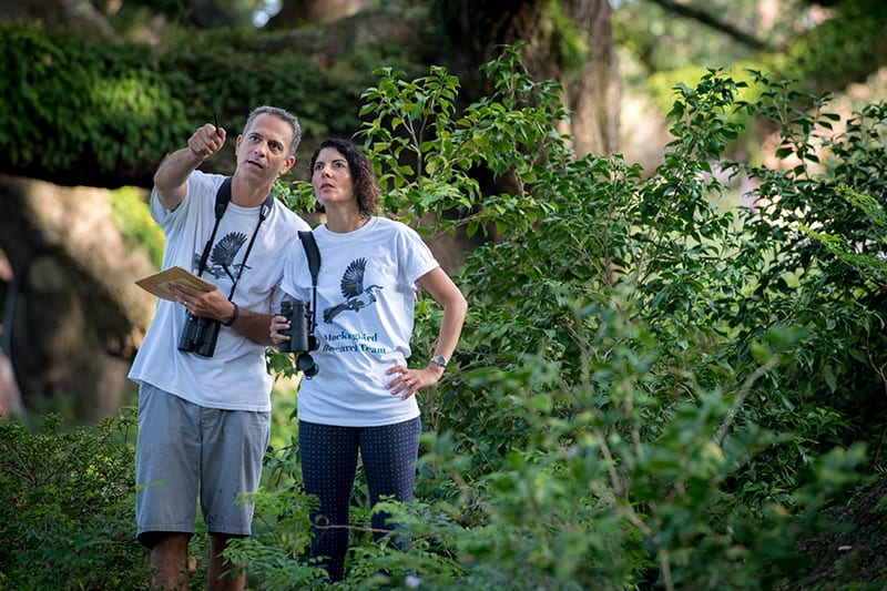 SE Professor studies effects of lead on mockingbirds