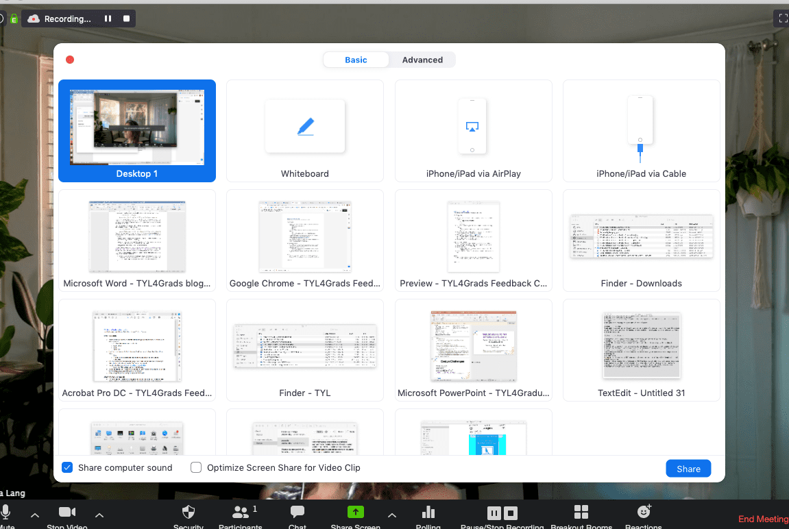 Screenshot for how to share your computer sound .